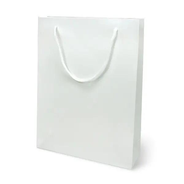 GD141-WH6 ถุงหิ้วขาว-ถุงกระดาษ 24×7.5×32 ซม.