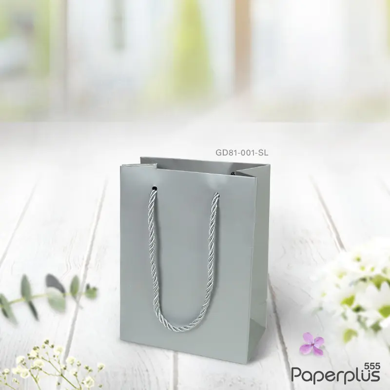 GD81-001-SL-10P ถุงของขวัญ ถุงหิ้วสีพื้น ถุง 12×16×6.5 ซม. สีเงิน (10ใบ)