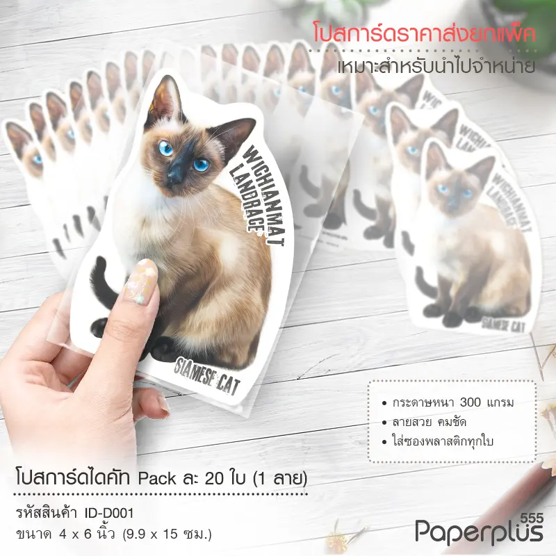 ID-D001 โปสการ์ดไดคัท 4×6 นิ้ว ลายแมว (20ใบ)