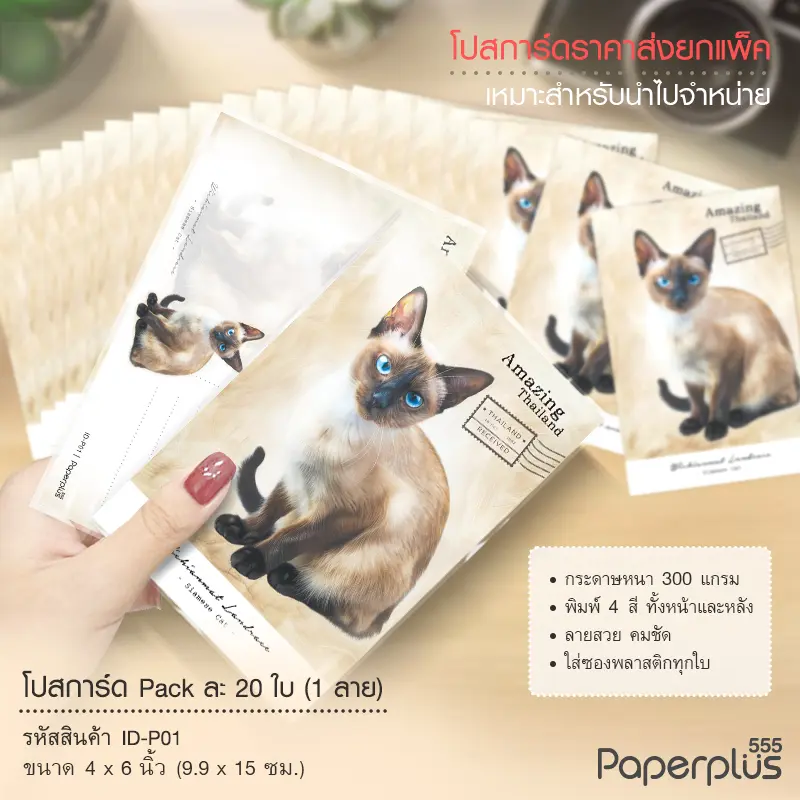 ID-P01 โปสการ์ด 4×6 นิ้ว ลายแมว (20ใบ)