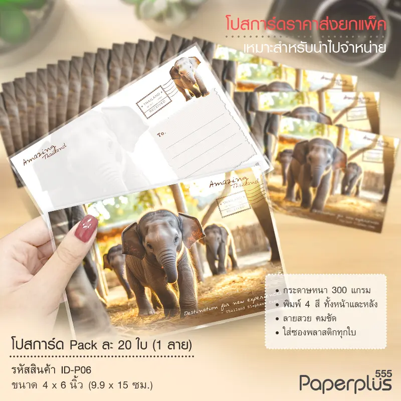 ID-P06 โปสการ์ด 4×6 นิ้ว ลายปางช้าง (20ใบ)