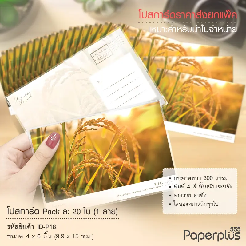 ID-P18 โปสการ์ด 4×6 นิ้ว ลายรวงข้าว (20ใบ)