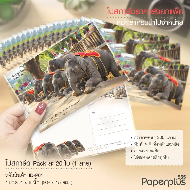 ID-P61 โปสการ์ด 4×6 นิ้ว ลายการแสดงช้าง (20ใบ)