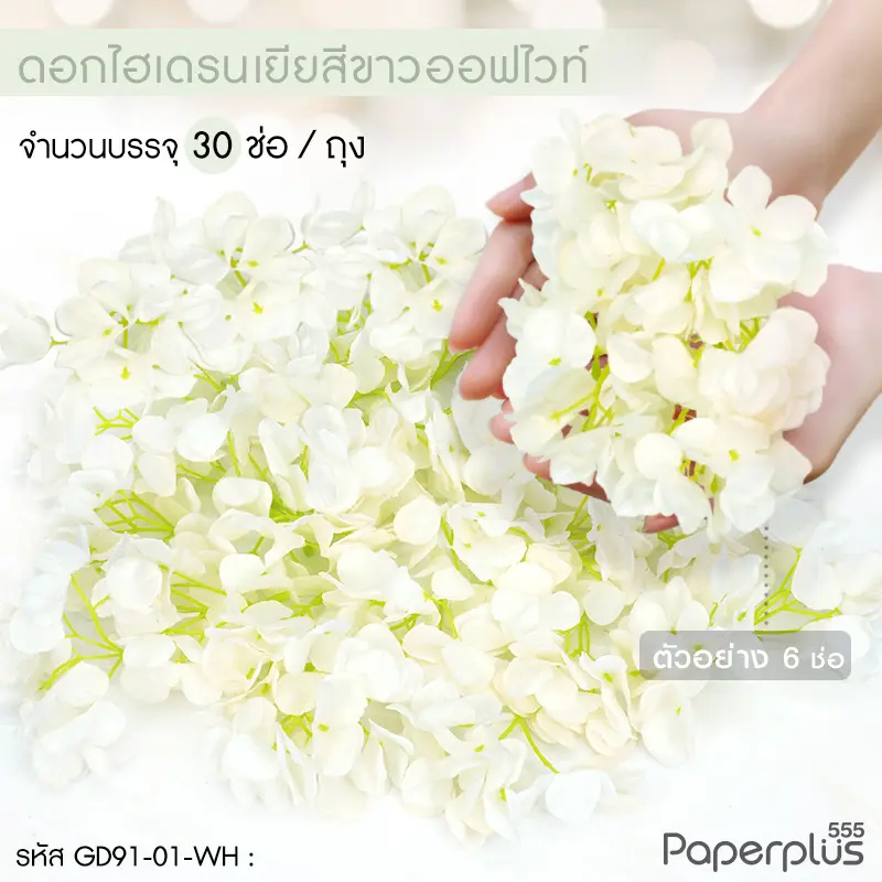 GD91-01-WH ดอกไม้ประดิษฐ์ตกแต่ง (ยกแพ็ค) ไฮเดรนเยีย สีขาวออฟไวท์ (30ช่อ)